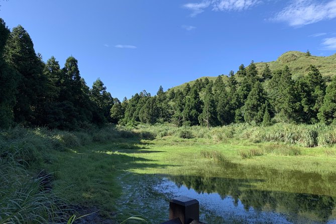 Private Yangmingshan Volcano Tour - How the Tour Gets Flexible Without Getting Messy