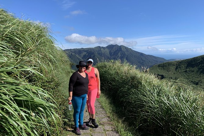 Private Yangmingshan Volcano Tour - What Makes a Private Guide Worth It Here
