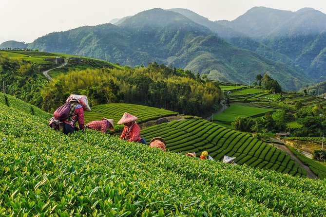 Sip & Savor: Maokong Tea & Shenkeng Stinky Tofu Private Day Tour - Key things to know before you go