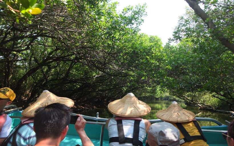 Tainan: Sicao Green Tunnel Scenic Boat Ride - Sicao Green Tunnel on a Tourist Raft, What You Are Actually Riding