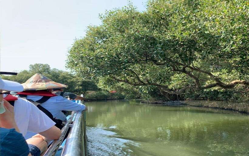 Tainan: Sicao Green Tunnel Scenic Boat Ride - Wildlife Watching: Crabs and Birds You Can Spot From the Boat