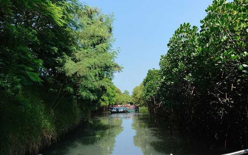 Tainan: Sicao Green Tunnel Scenic Boat Ride - Yu-Guang Island and the Milkfish Theme Pavilion, The Food Part That Actually Matters