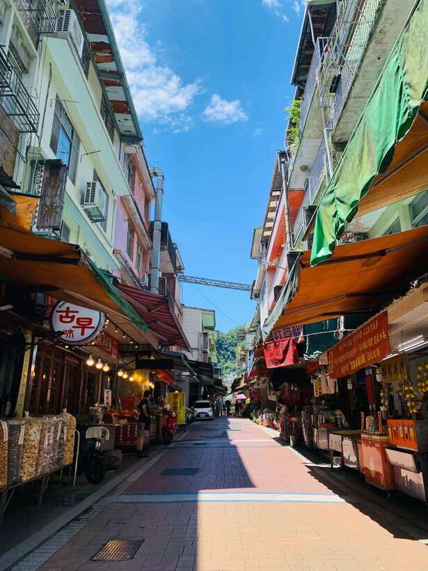Taipei: 8 Hours Private Day Tour in Wulai with Benz Vito - Neidong National Forest Recreation Area, A Fern Paradise in the Valley