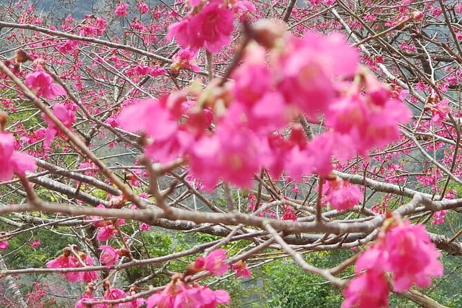 Taipei City to Taoyuan Airport Private Transfer - Who This Transfer Fits Best