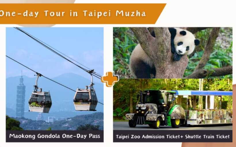 Taipei: Maokong Cable Car 1 day Pass - The 30-Minute Sky Ride: Views, Cabin Size, and Photo Reality