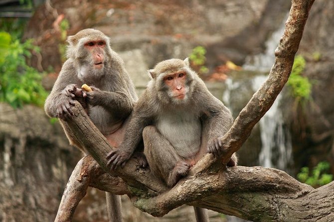 Taipei: Private Car Charter Tour - Key things I’d plan around