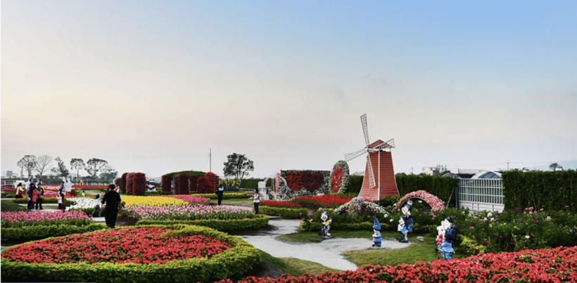 Taipei-Taichung-Taipei Private day trip - Zhong She Flower Market: The One-Hour Walk That Sets the Tone