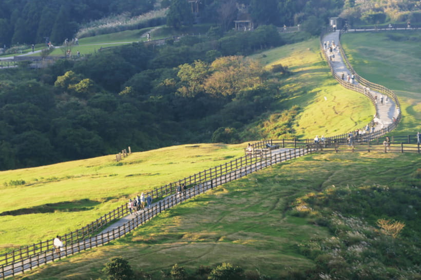 Taipei: Yangmingshan & Beitou Full-Day Tour - Yangmingshan Flower Clock and Sulfur Valley: two very different stops, same theme