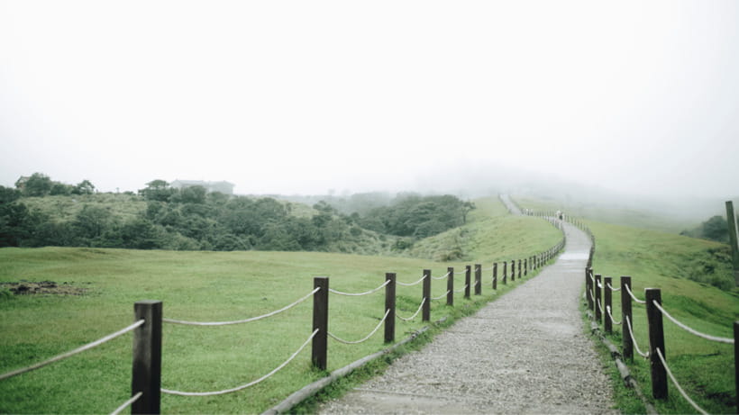 Taipei: Yangmingshan National Park Half-Day Tour - Zhuzihu Lake, Bamboo Lake, and a wooden walkway break