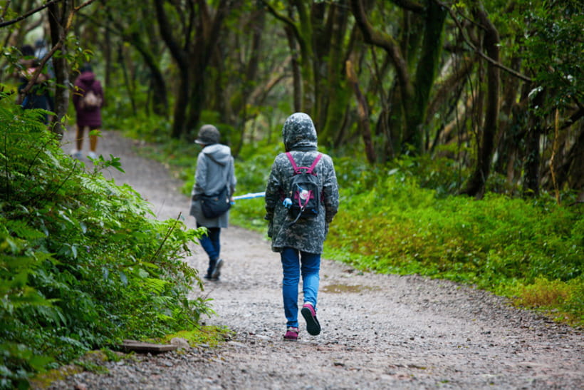 Taipei: Yangmingshan, Shifen, Jiufen & Yehliu Private Tour - English-Speaking Guide and the Time-Saving Details That Matter