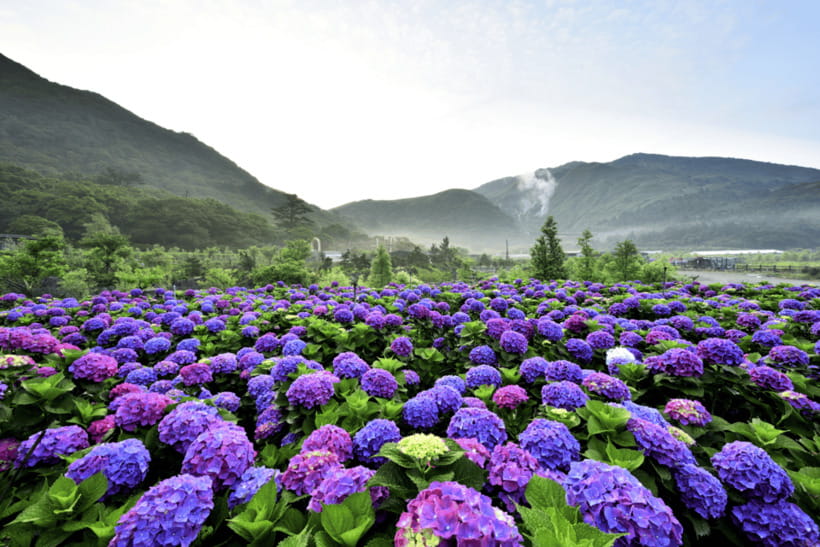 Taipei: Yangmingshan, Shifen, Jiufen & Yehliu Private Tour - What to Bring for Mountain Weather, Coast Wind, and Lantern Nights
