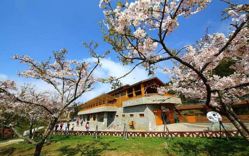 Taiwan: Alishan National Forest Recreation Area E-ticket - Key highlights you will actually use