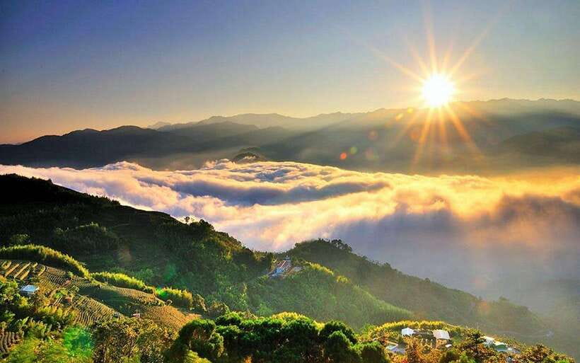 Taiwan: Alishan National Forest Recreation Area E-ticket - Zhushan sunrise and the sea of clouds, minus the hassle