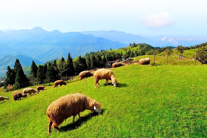 Taiwan Multi-Day Classic Tour - Price and value: what $2,600 per group really covers