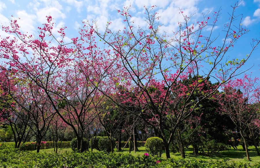 Taiwan Taipei: 8-Hour Customized Taipei City Exploration! - Price and value: what $159 really buys