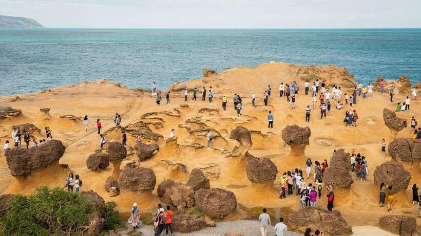 Taiwan Taipei: Customized Private Tour - How Your Stops Get Built Around Your Interests