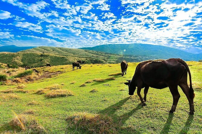 Taiwan TST : Private Tour Taipei, Yangmingshan, Beitou, Tamsui - What you’re really paying for (and why it feels like value)