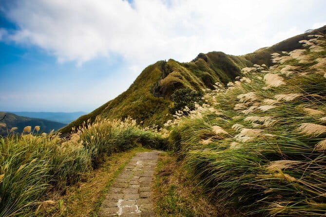 Taiwan TST : Private Tour Taipei, Yangmingshan, Beitou, Tamsui - Beitou Hot Spring Museum and Thermal Valley: start with steam and history
