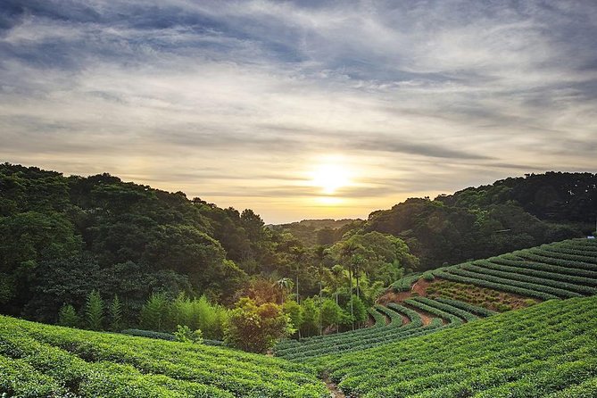 Tea of Taipei: Small-Group Tour with Taipei City Sightseeing - Key highlights worth packing your curiosity for