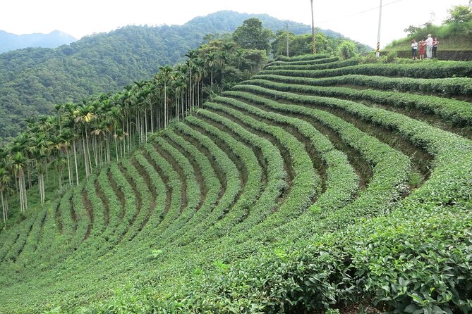 Thousand Island Lake and Pinglin Tea Plantation from Taipei - Key things I’d plan around