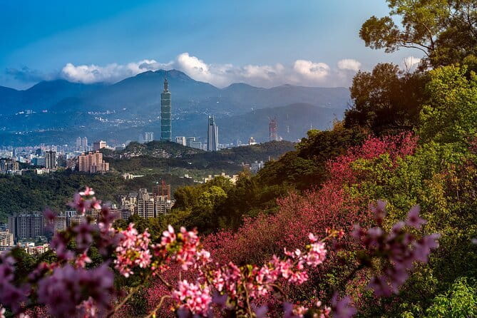 Vintage Taipei - Best of Taiwan & Sunset Walking Tour (Tip-based) - Da Dao Cheng, walking streets locals still use