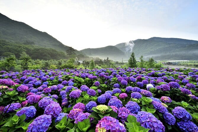 Yangmingshan, Yehliu, Jiufen & Shifen Private Tour From Taipei - Yehliu Geopark and Queen’s Head in focused 45 minutes